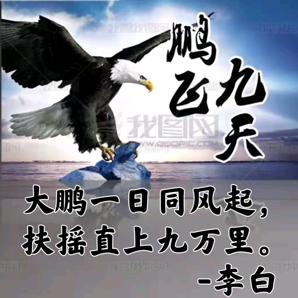 鹏飞九天-曹鹏飞