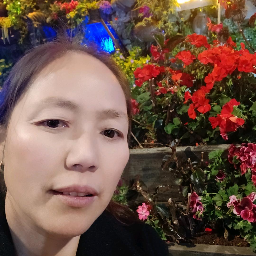 杨冬仙大树人