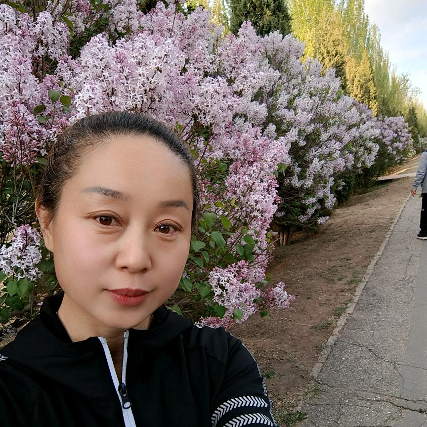 玫瑰花