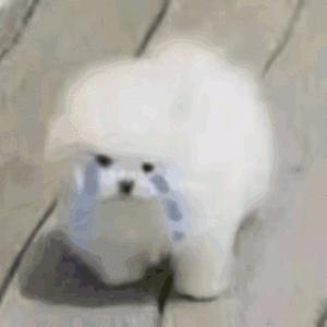 别偷我的milk
