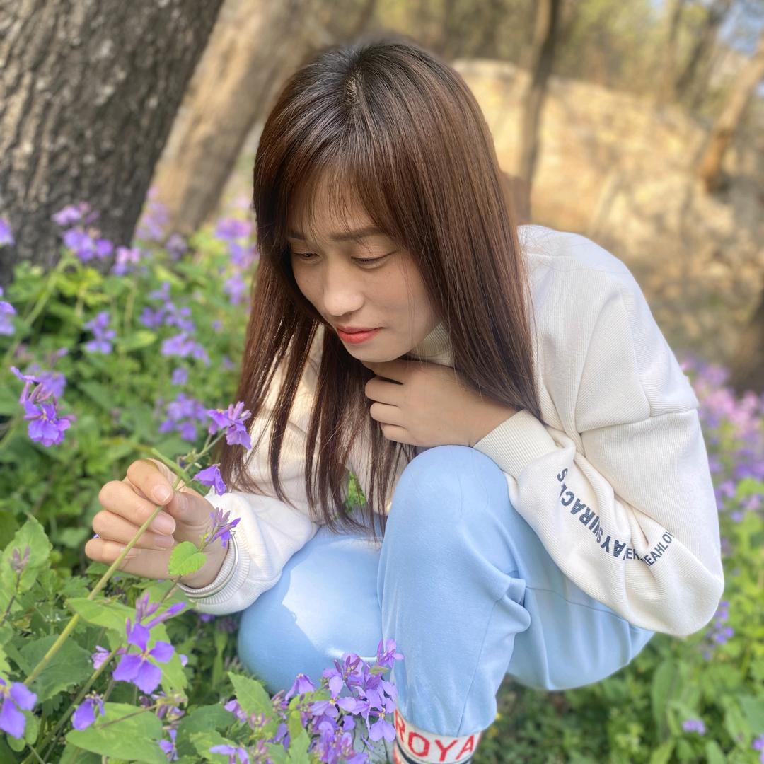 🌸樱花草🌸