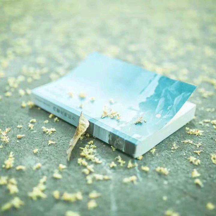 এ杯中烈酒໌ᮨ敬余生