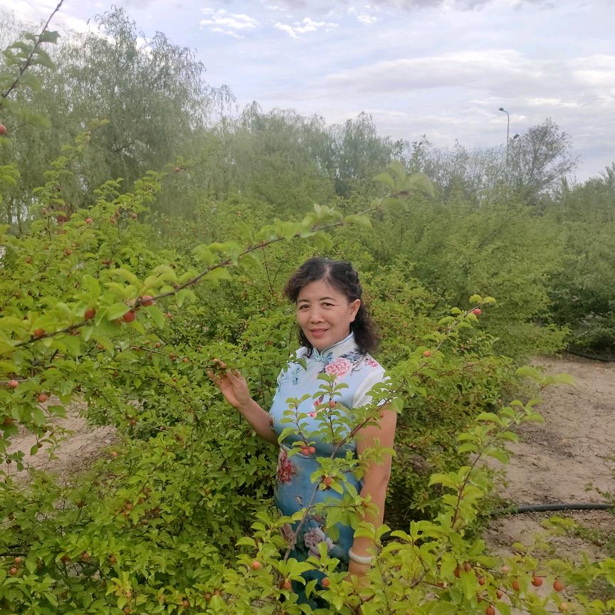 王冬梅