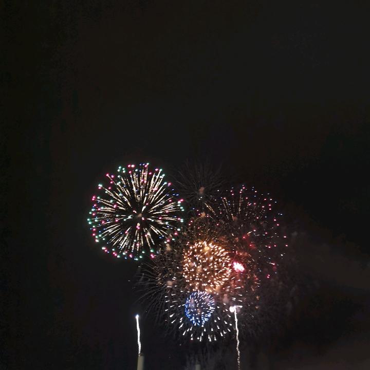 🤡ο▬▬▬▬▬▬◙▅▅▆▆▇▇◤農先生