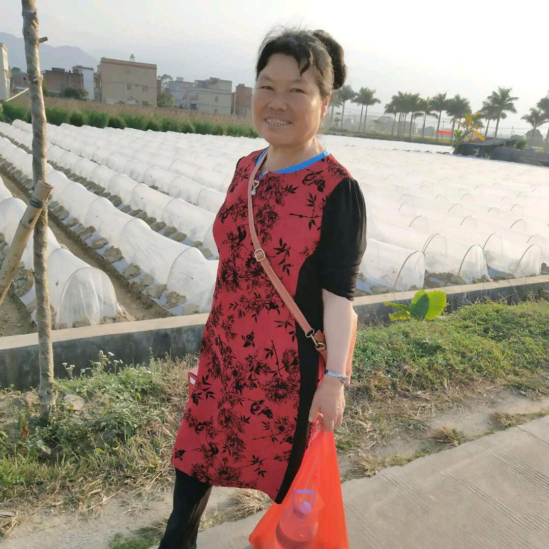 用户9724419271624