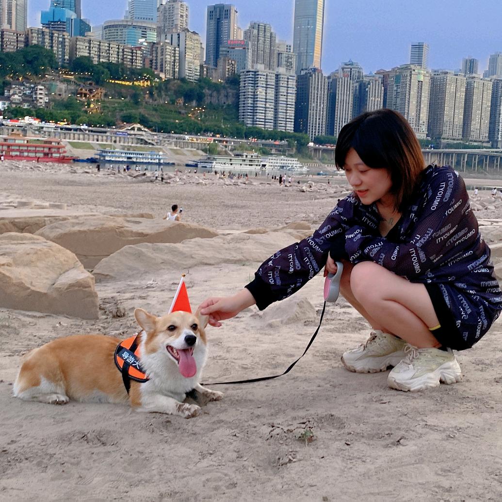 茜导带你游天下