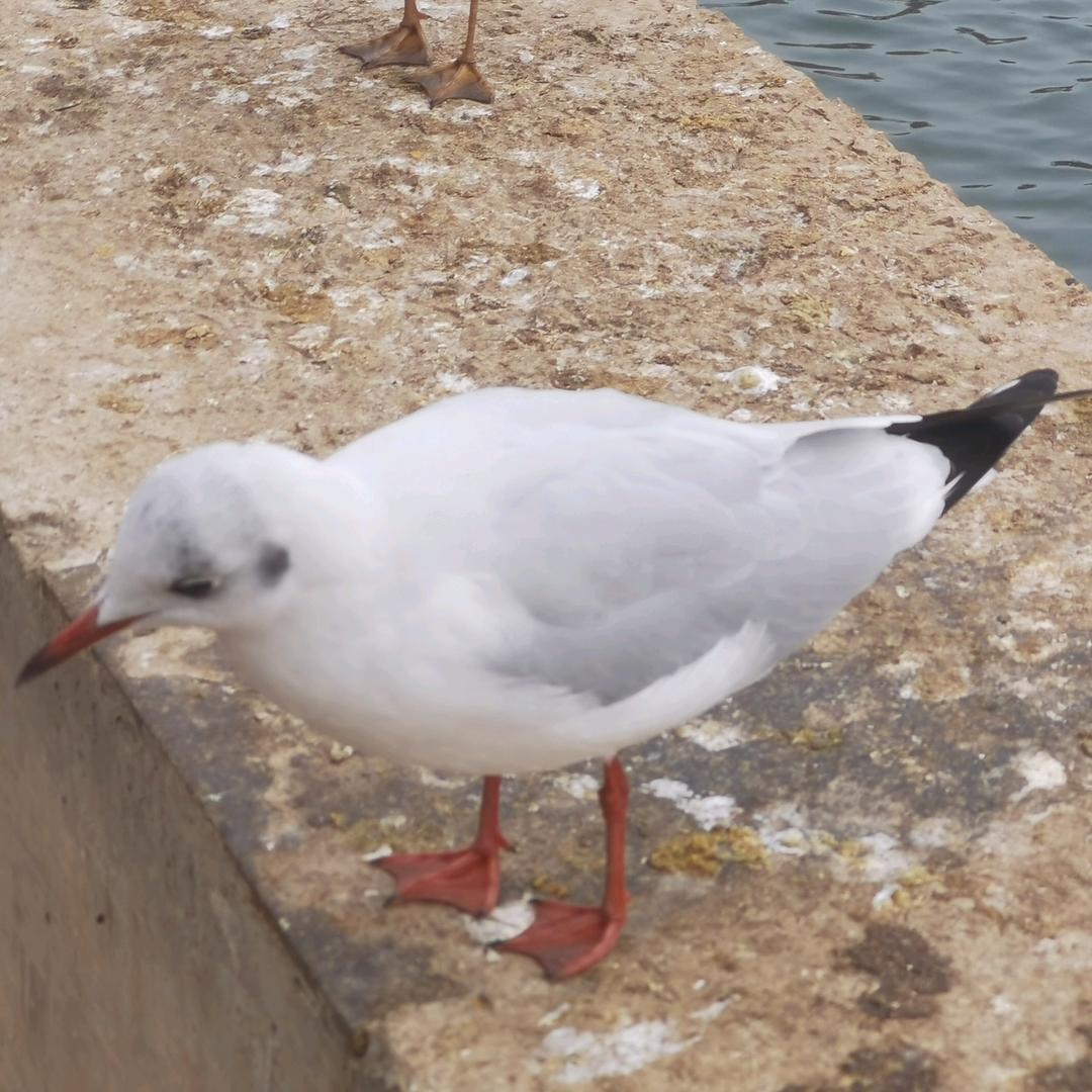 柏果镇再生资源回收