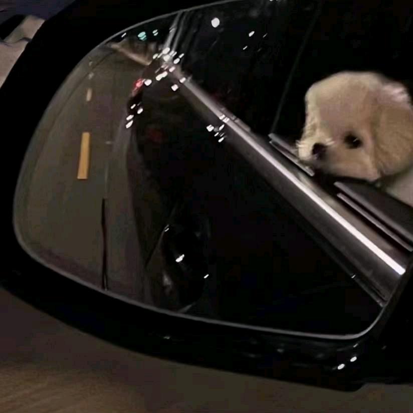 隐姓埋名的吴彦祖