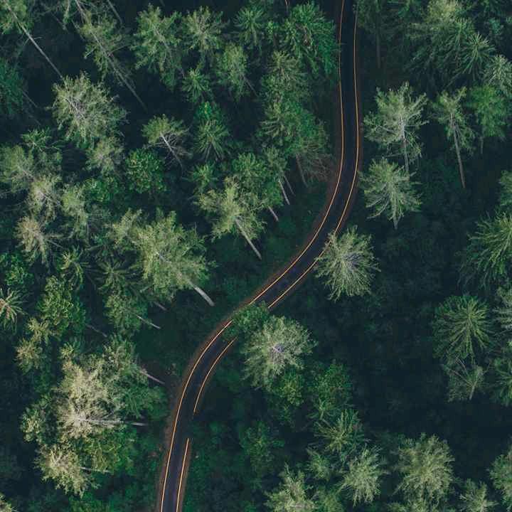 想我自己