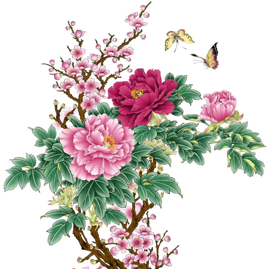 用户天天开心5380184328943