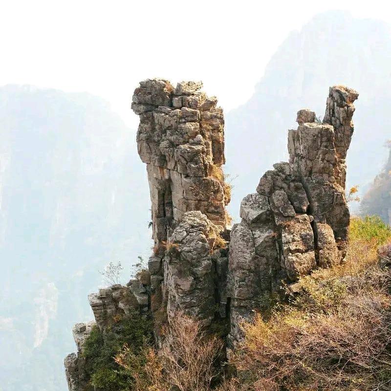 衞(卫来可期 永不言弃)