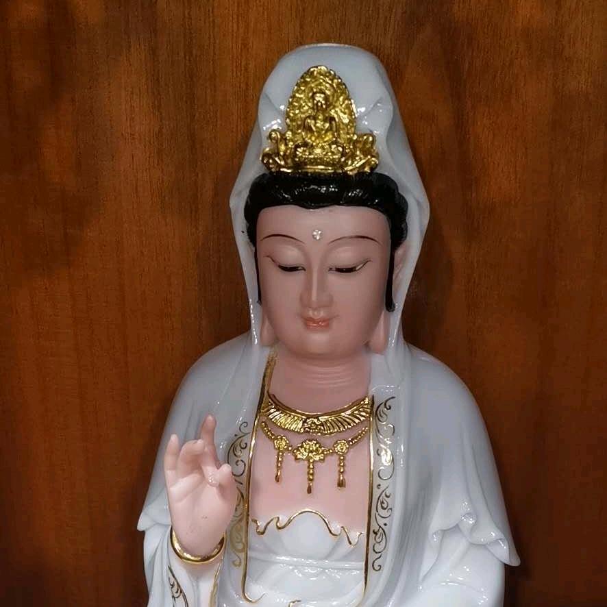 清舍