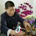 壶途老吕