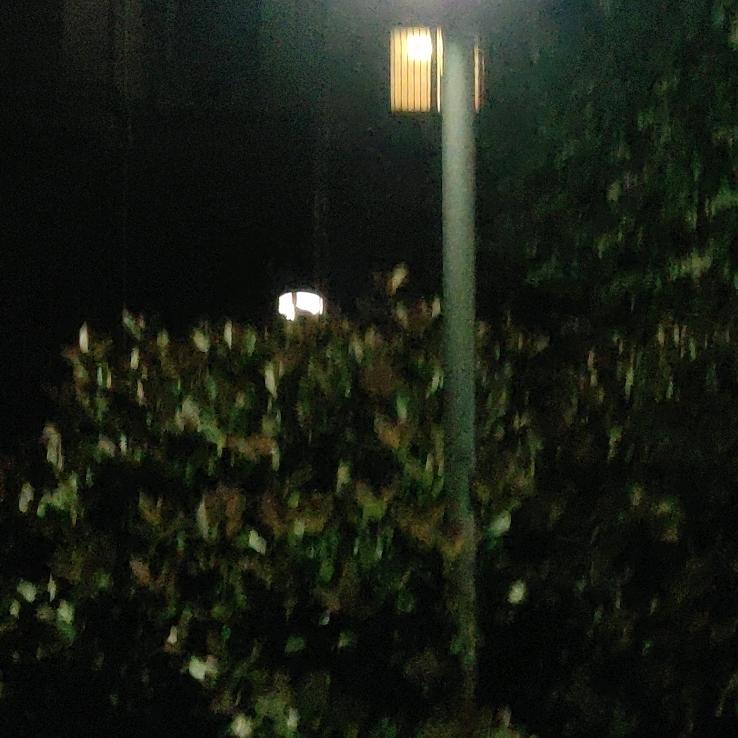 向上的生活