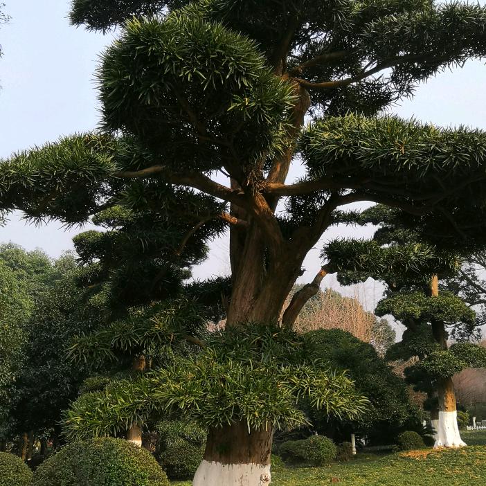 忍，让