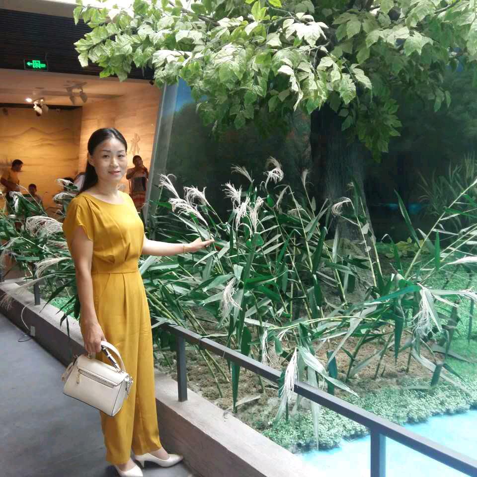 美好的回忆