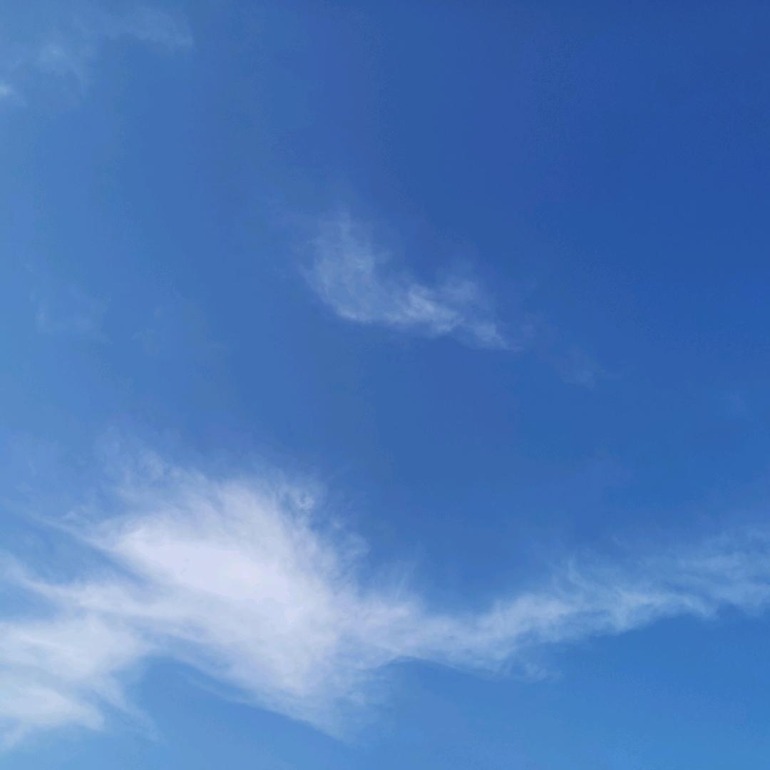 赵小赵0327