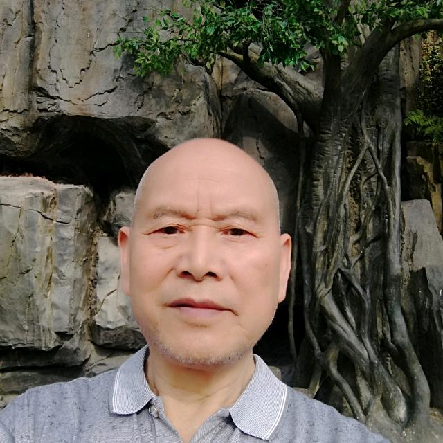 向志元
