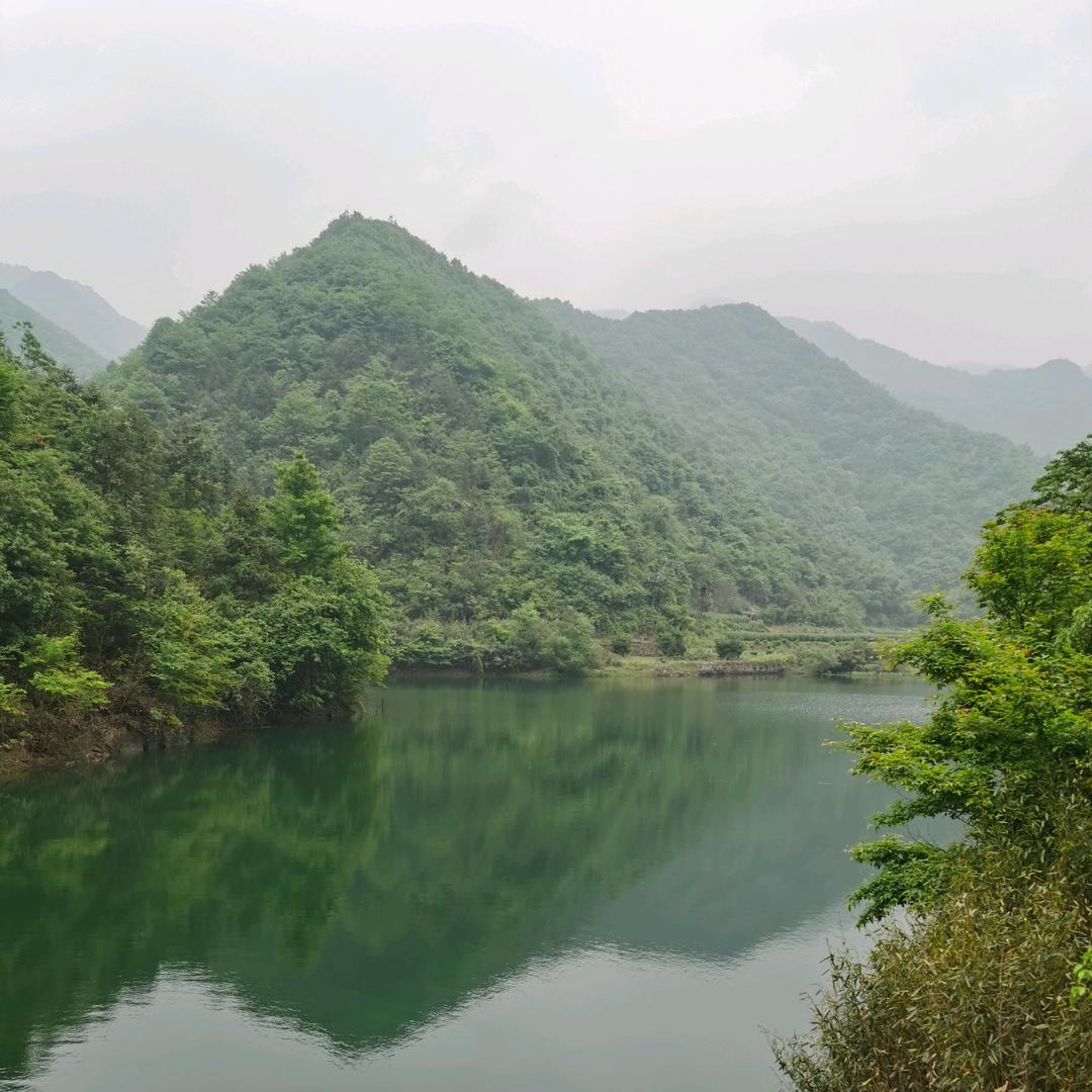 清风幽香