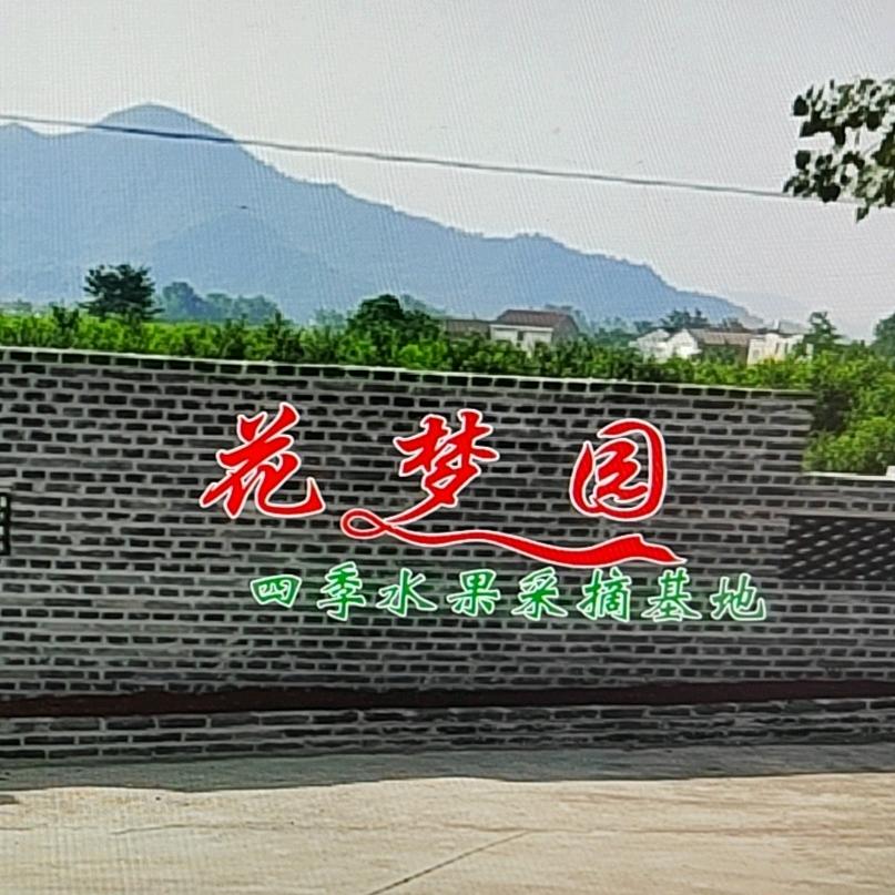年华