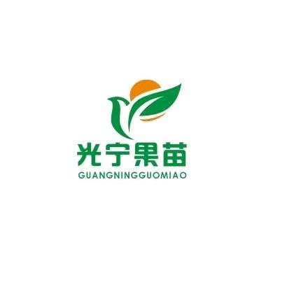 光宁果树苗木专营店直播间