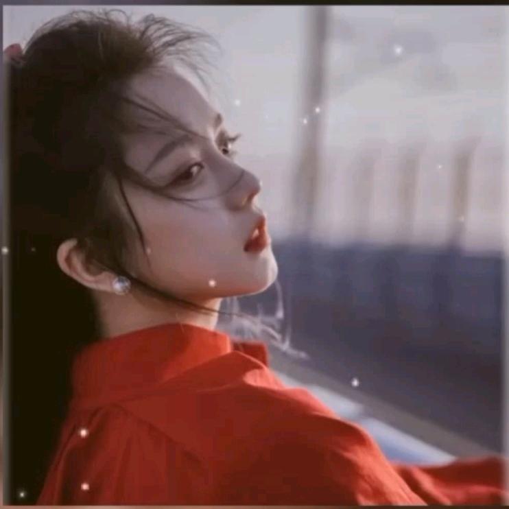 寻百分之十先生