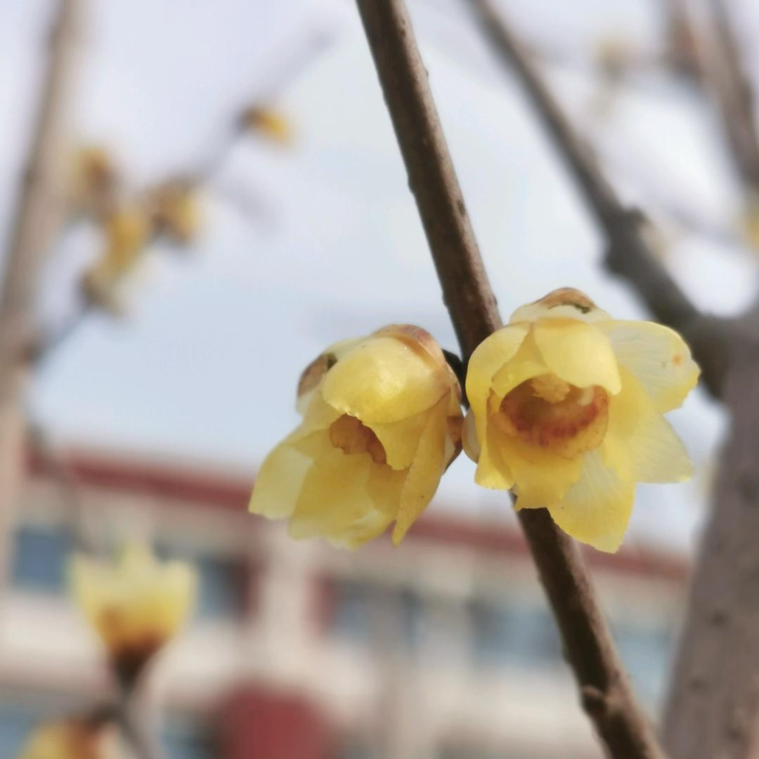 暖暖🍎