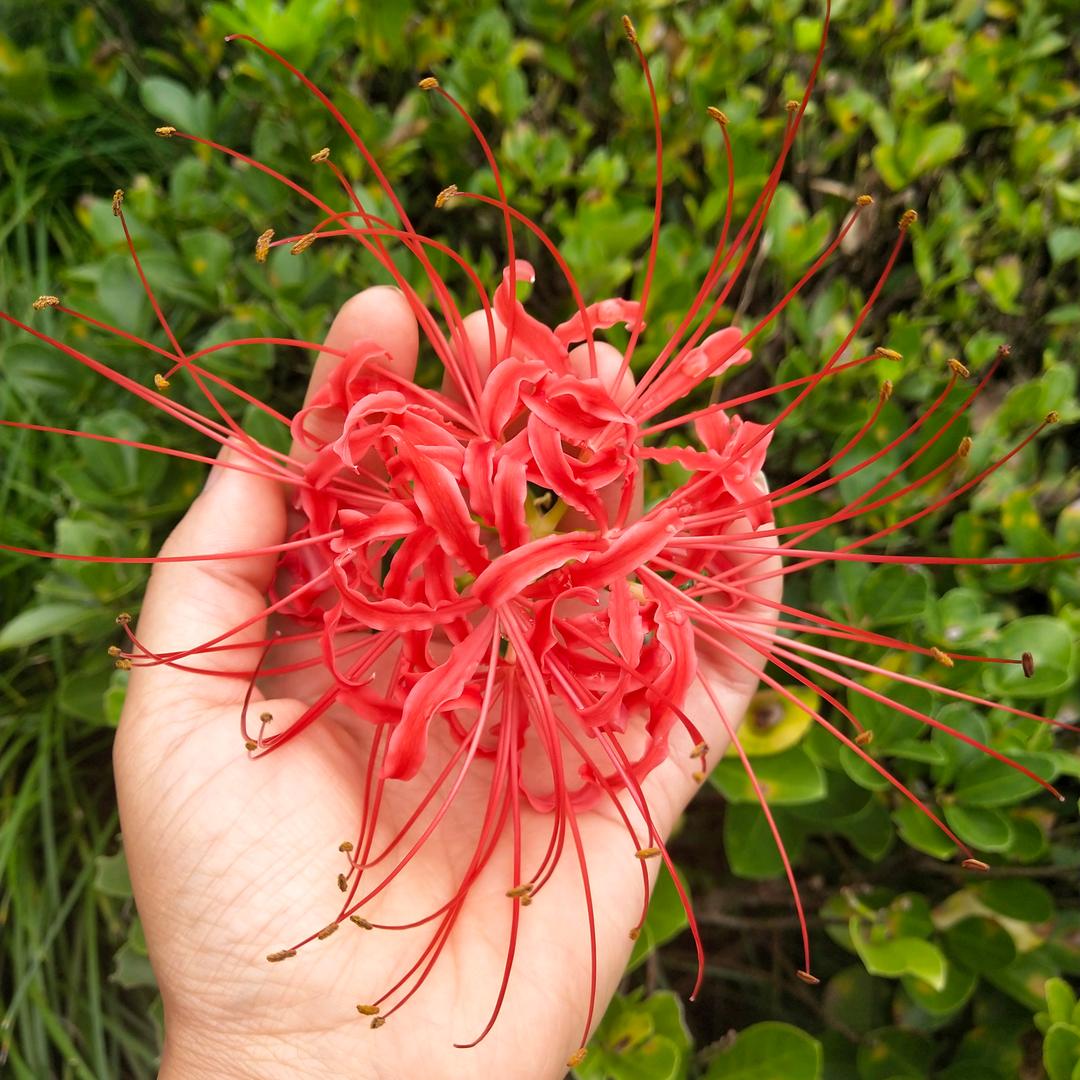 ღ᭄ꦿ有你心暖࿐