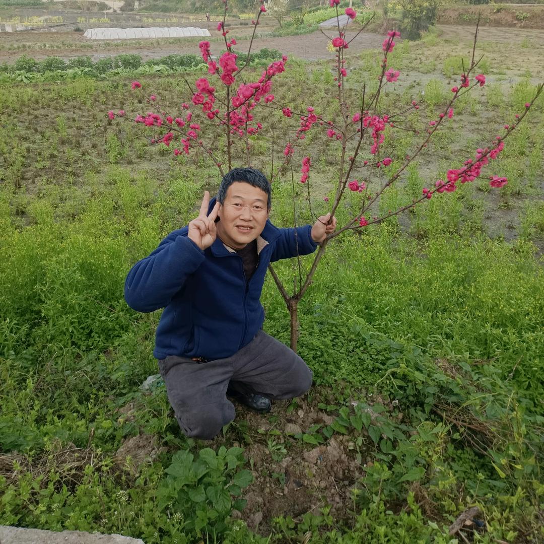 永不后悔