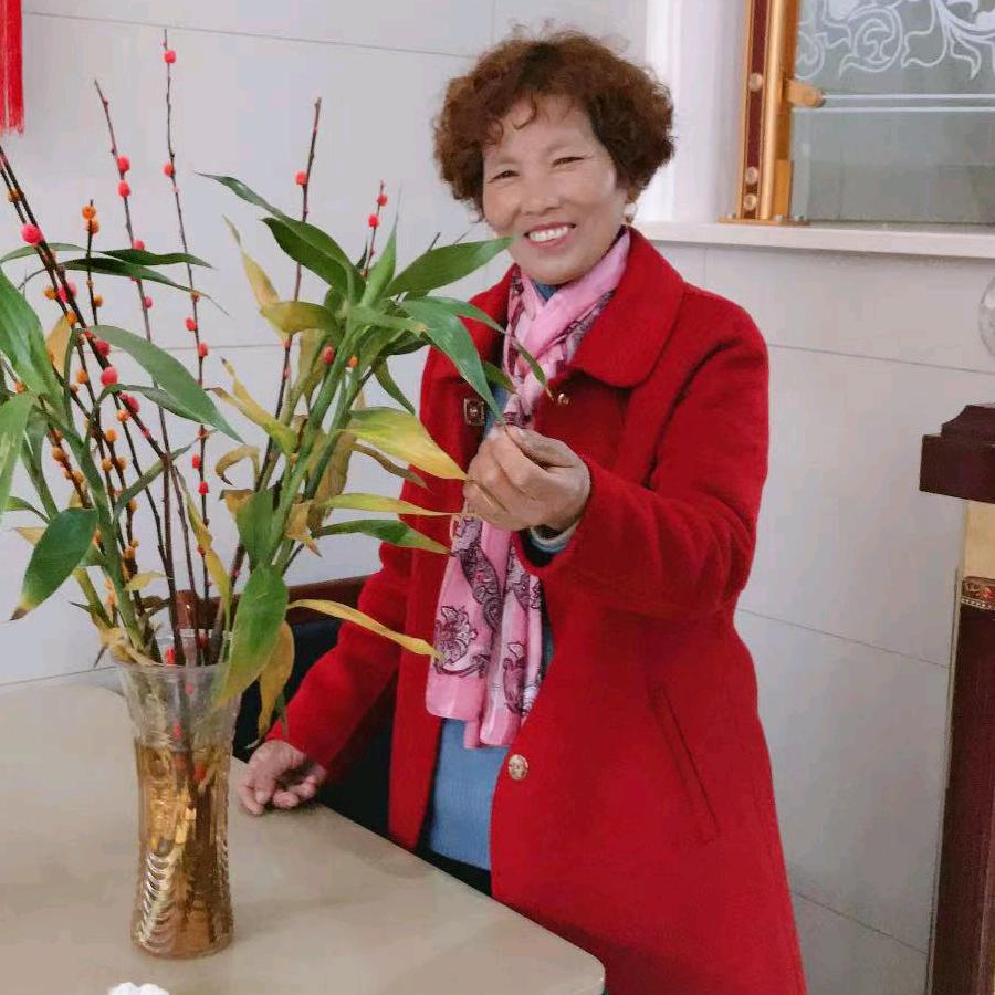 陆年英