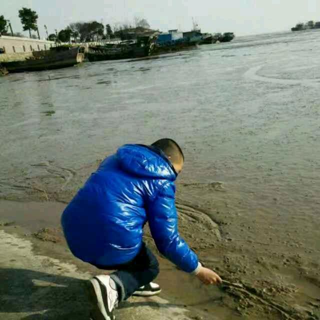 马儿头像