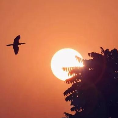 石楼县刘厨味道馆
