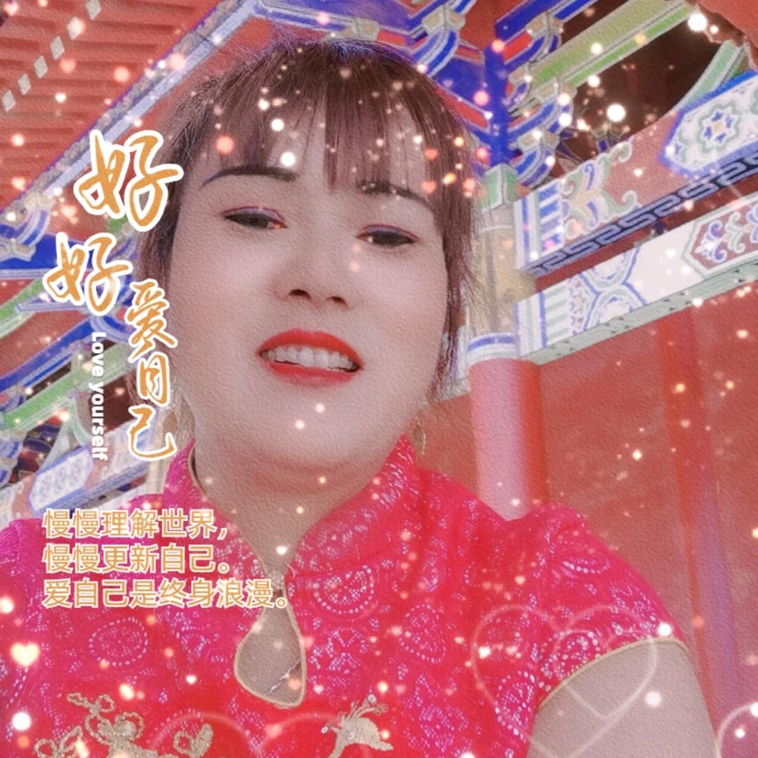 郁金香🌷