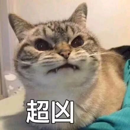 风华正茂某先生