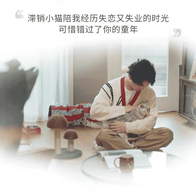 过往不究