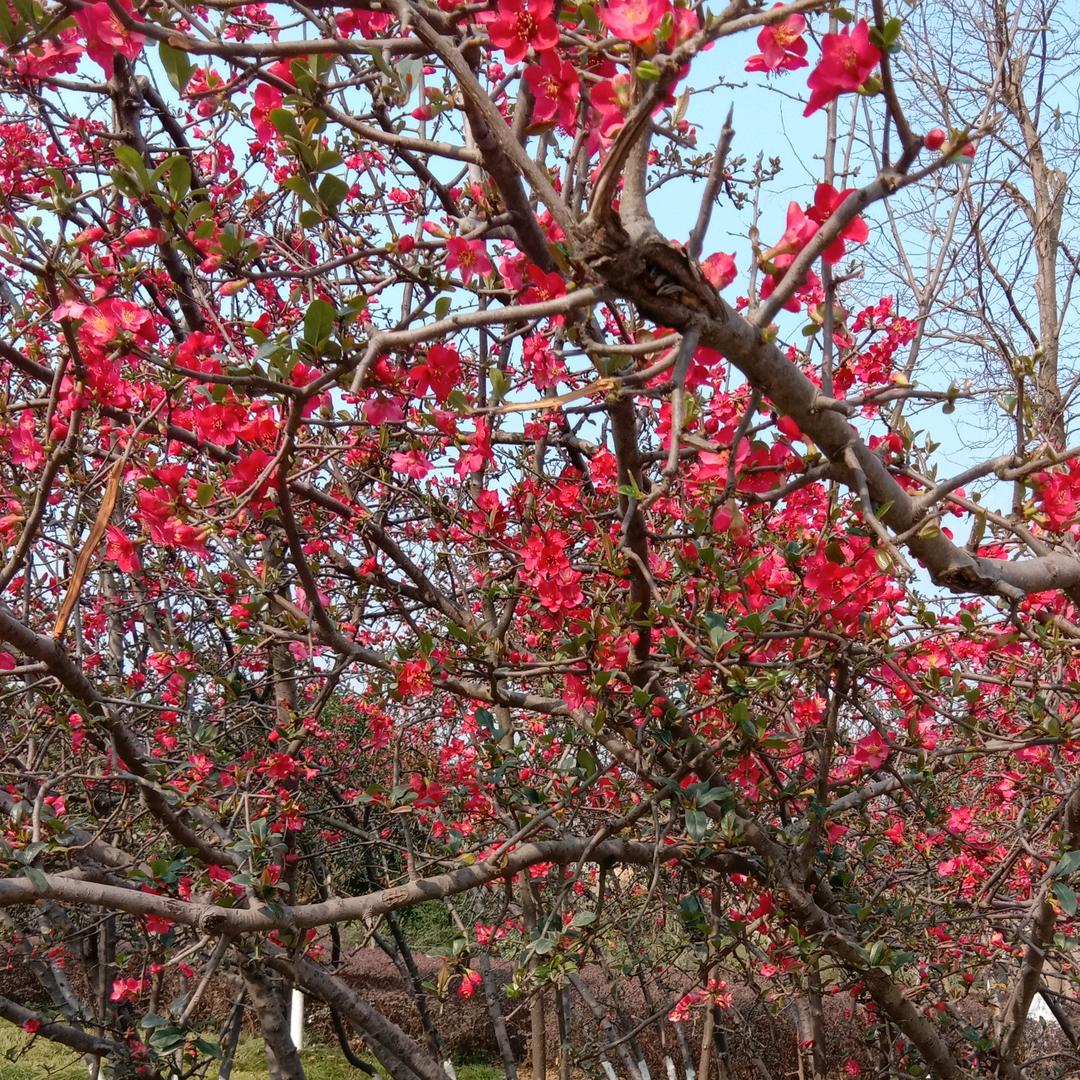 明天会更好，，，