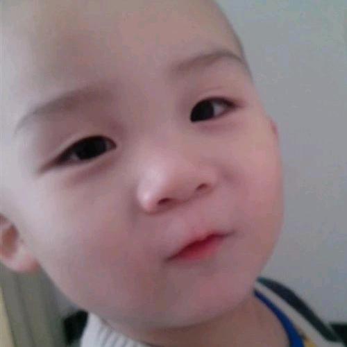 龙