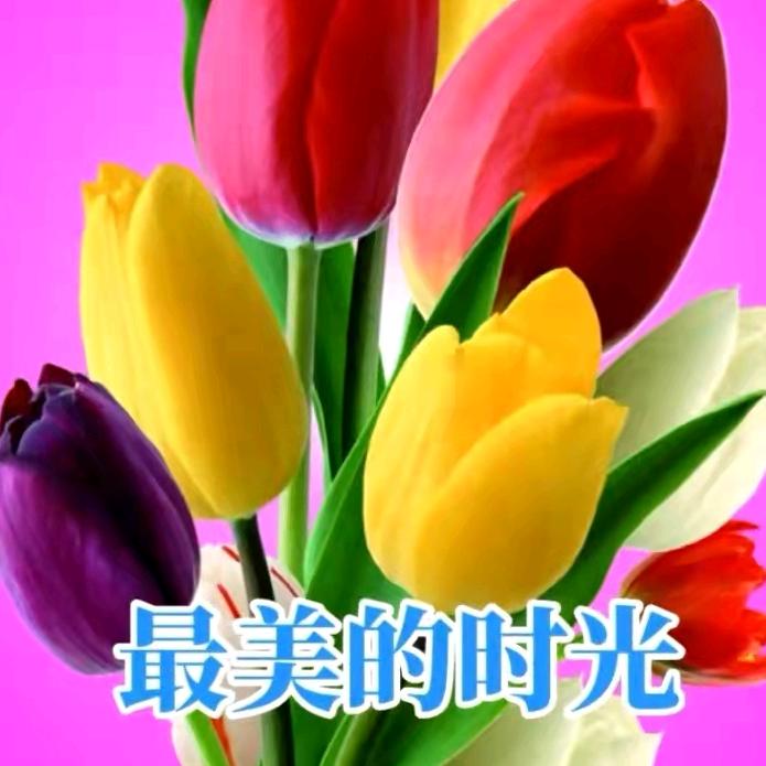 听.雪