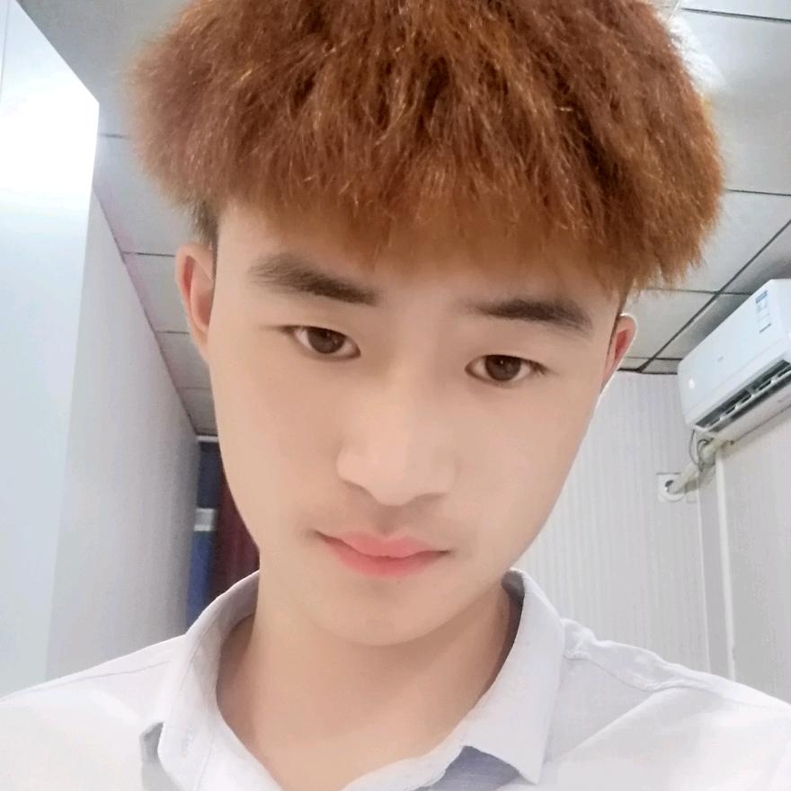 鑫哥