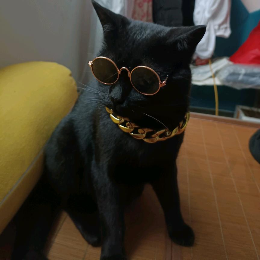 黑猫警长