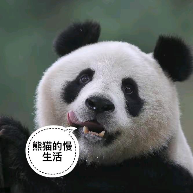 南征北战