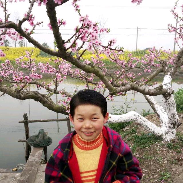 小眼睛光伏中心