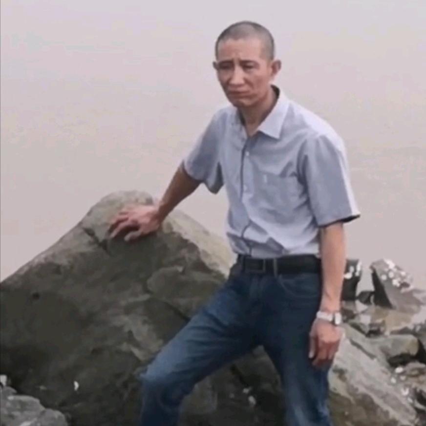 大雁飞来了