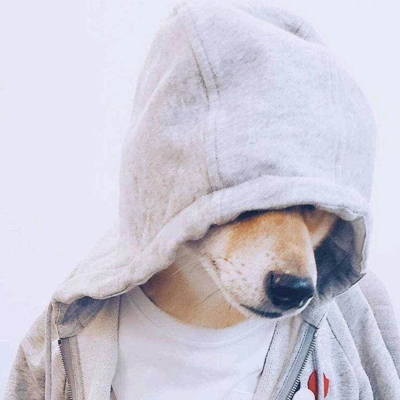 可乐🥤