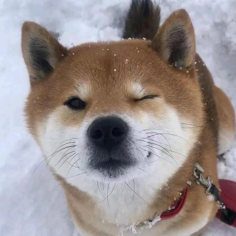 川佬