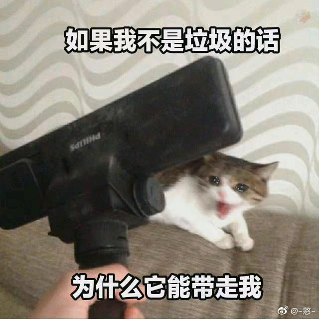 圆脸脸的留白