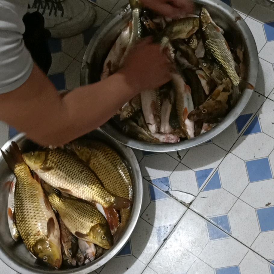 小龙