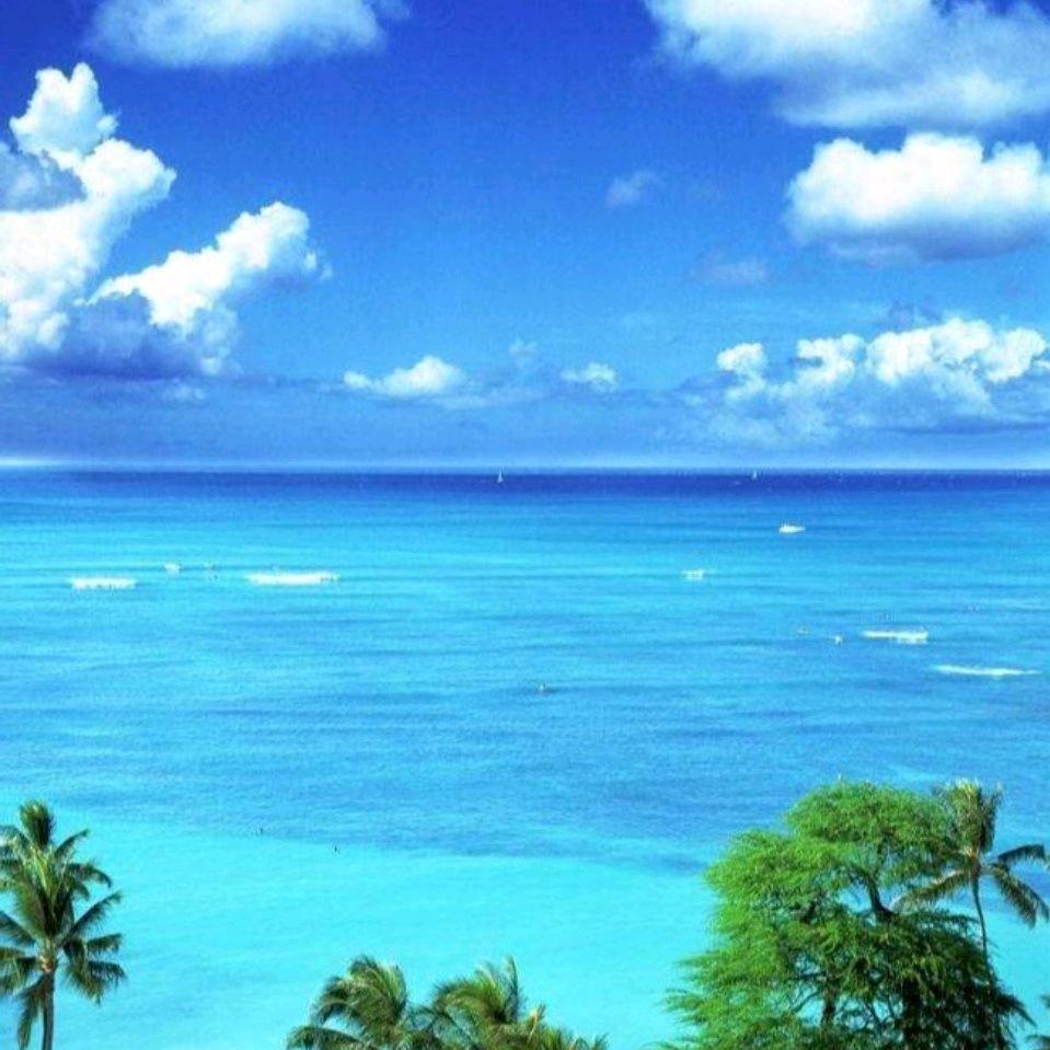 佛山地板砖批发