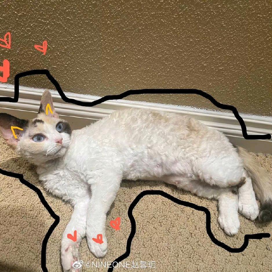 宇宙超级无敌史上最牛逼带电的究极暴龙战神