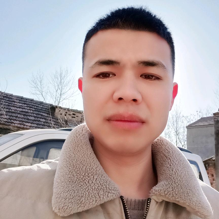 @河南小伟（娱乐搞笑）